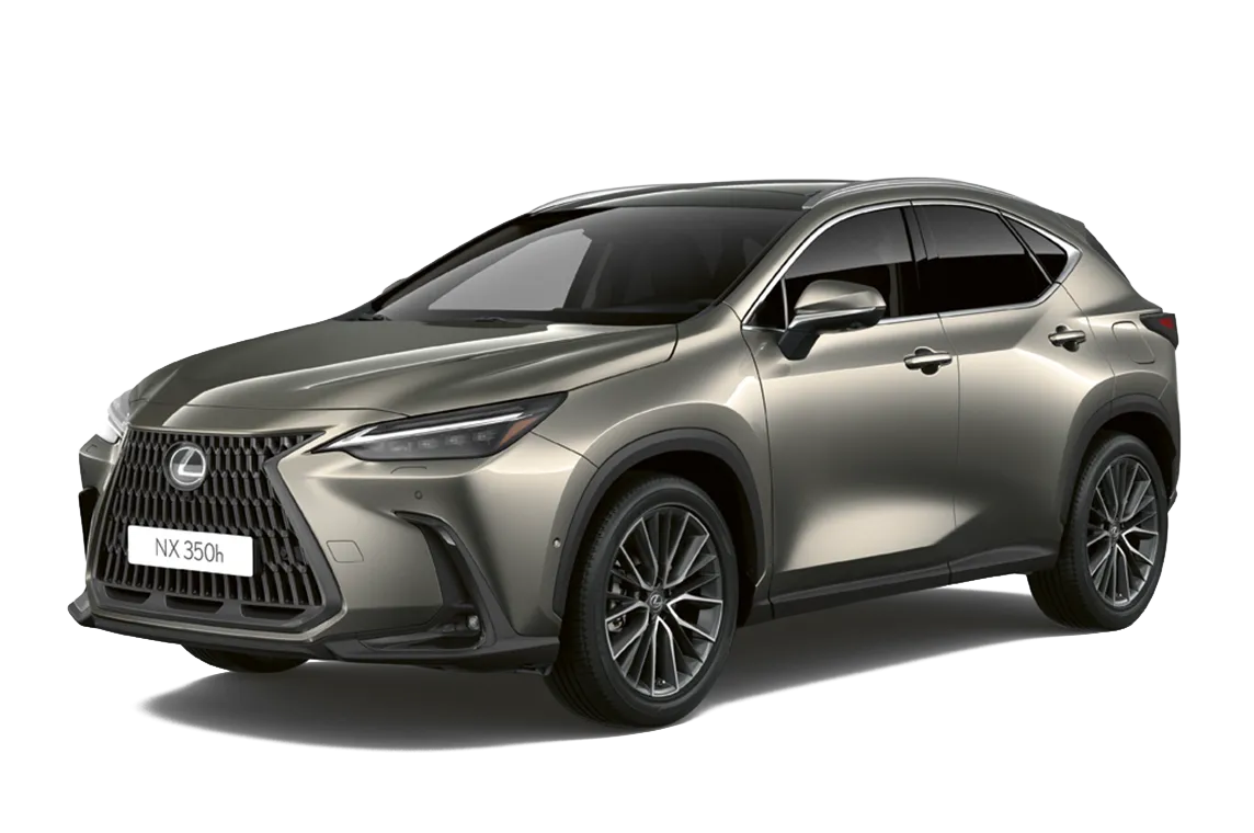 NX frontal view