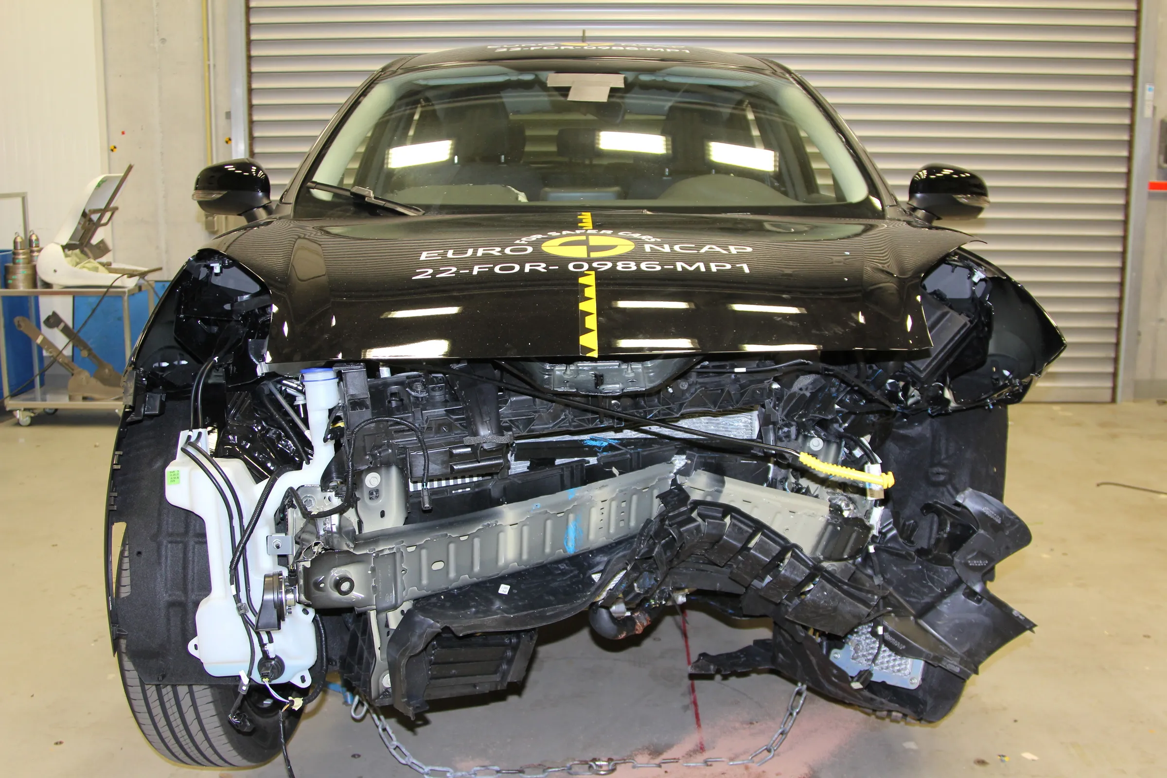 test picture