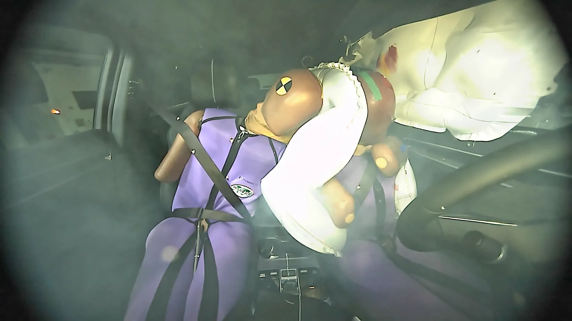 182033a7-310f-4301-ae65-361d435d7700