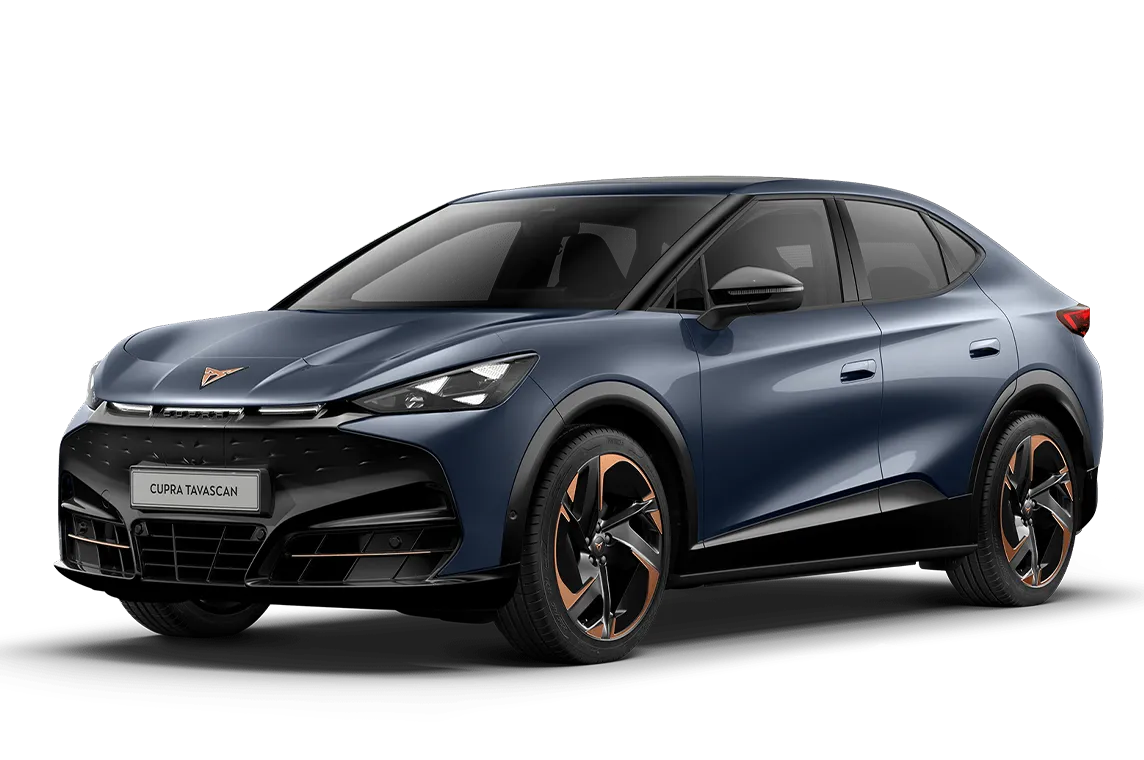 Tavascan frontal view