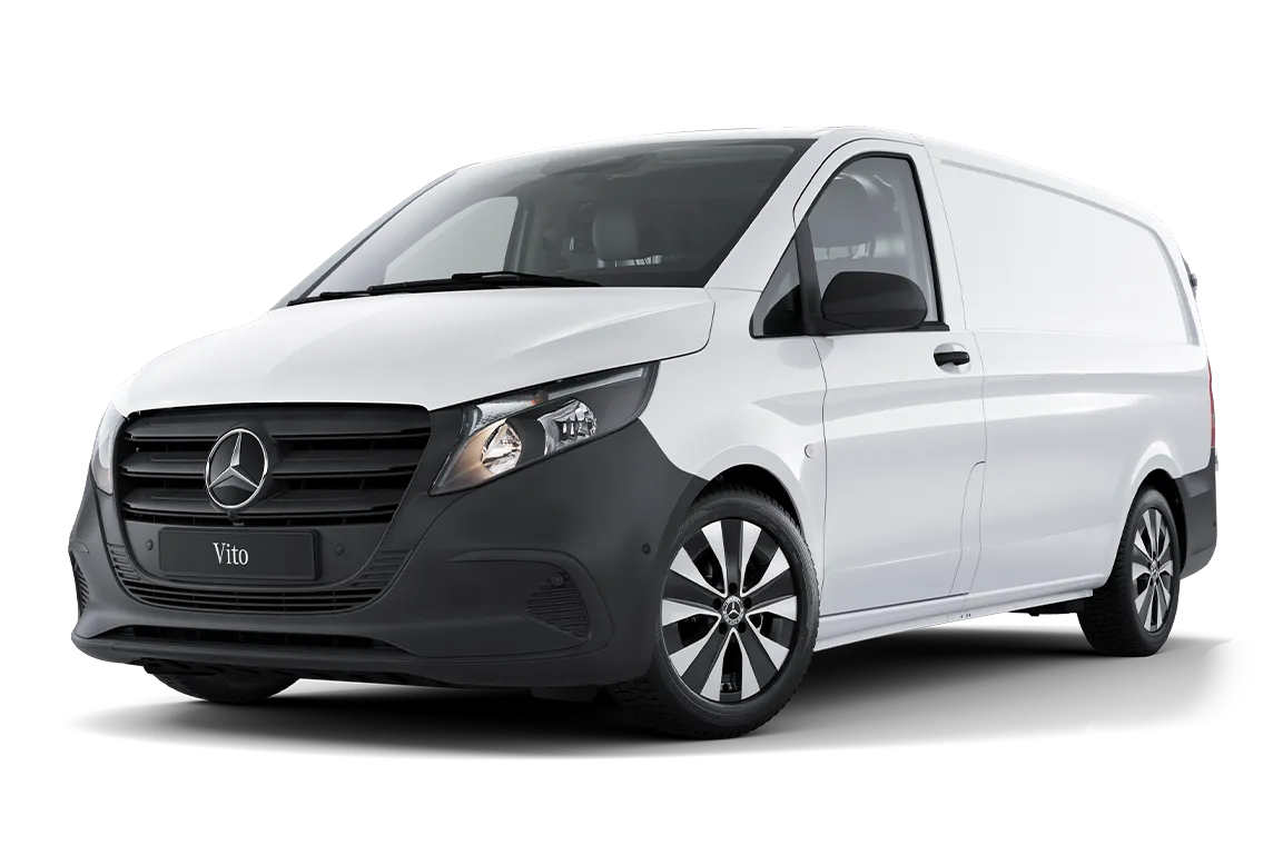 Vito frontal view
