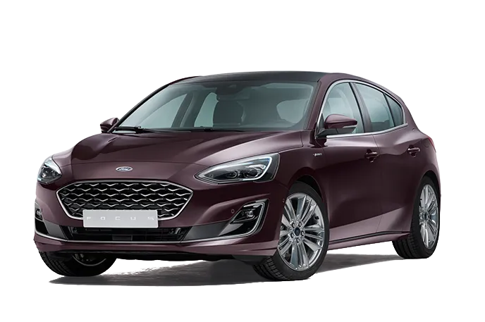 Focus frontal view