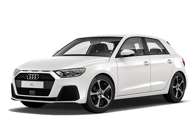 A1 frontal view