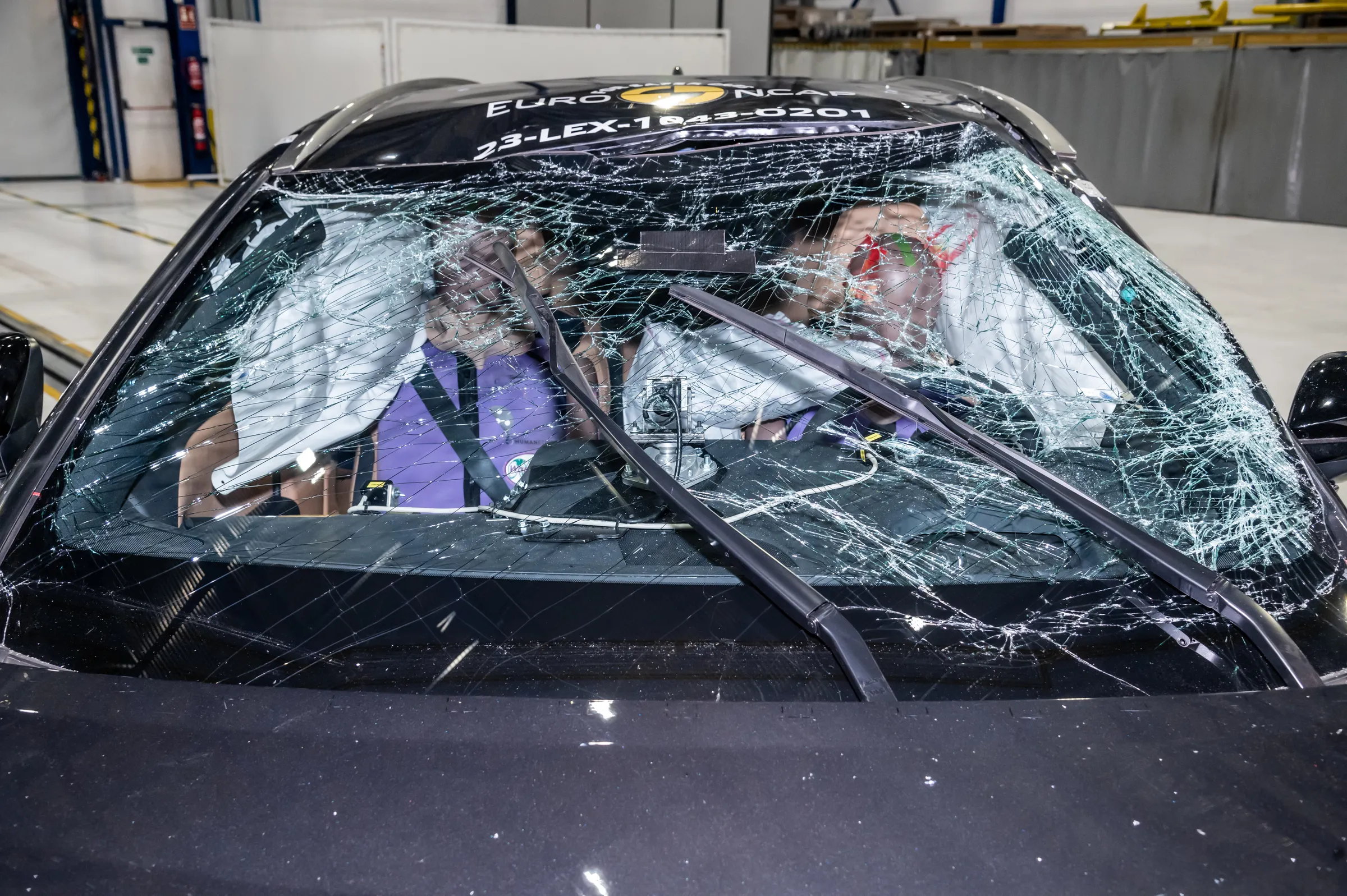 81461d47-8fd0-4f6c-be39-3c3b02567758