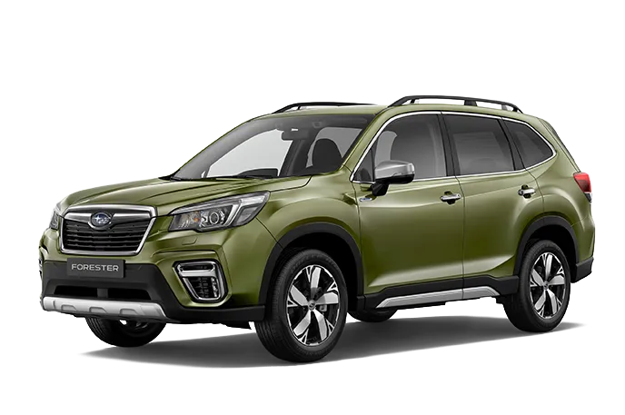 Forester frontal view