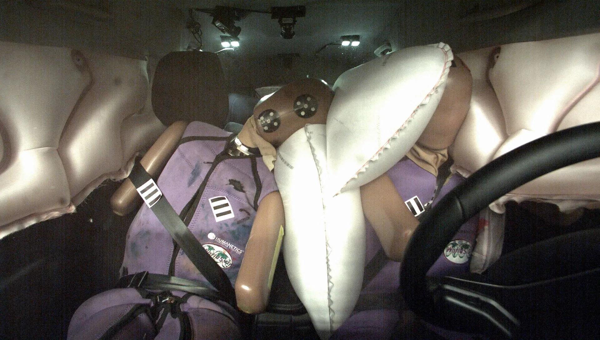 ee6f10ea-331a-4540-9f4e-93eb7f9a575e