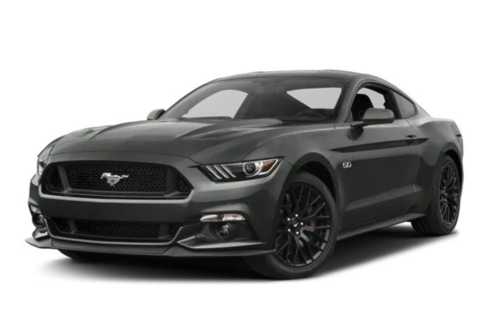 Mustang frontal view